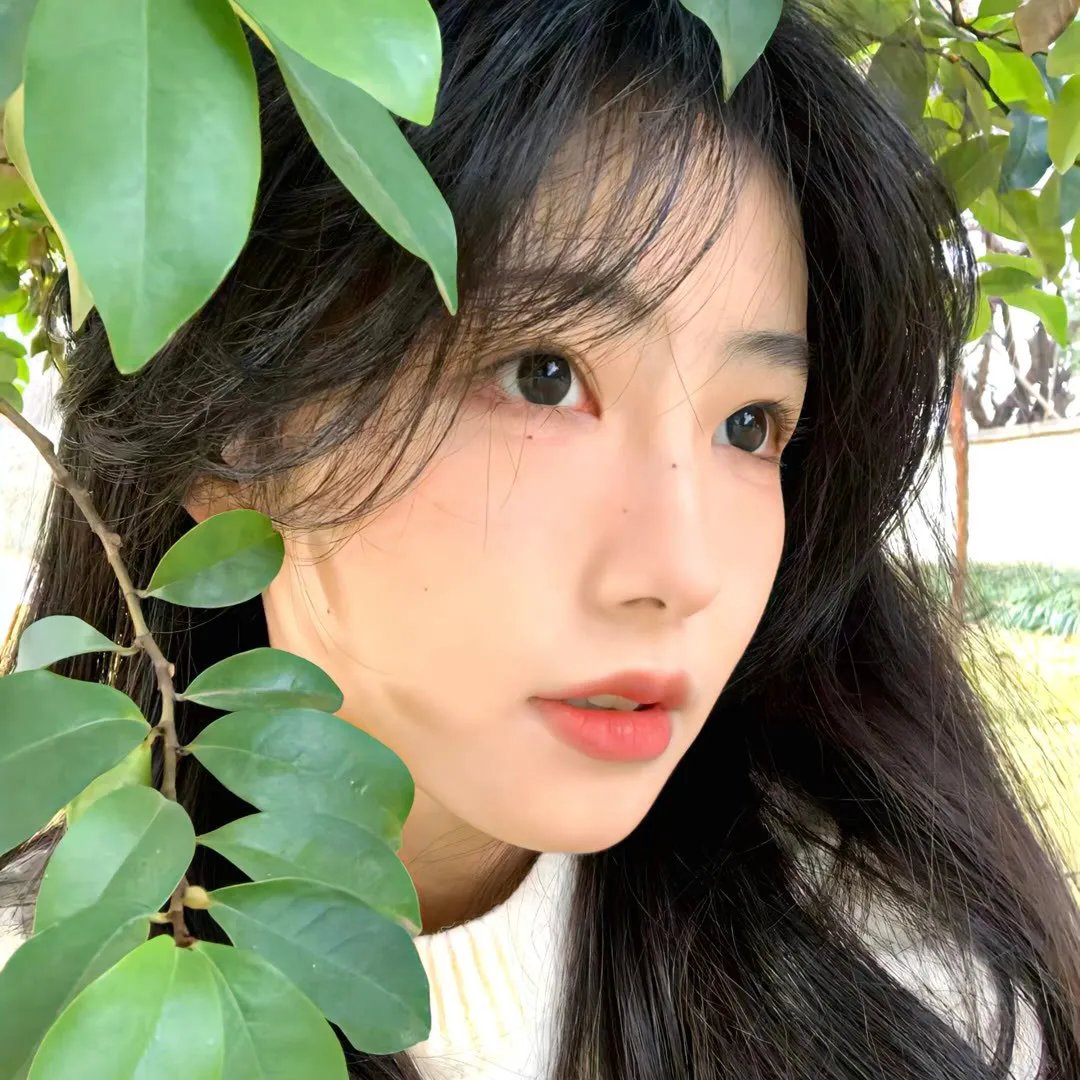 疯狂的心