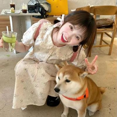 淘气阿丹2